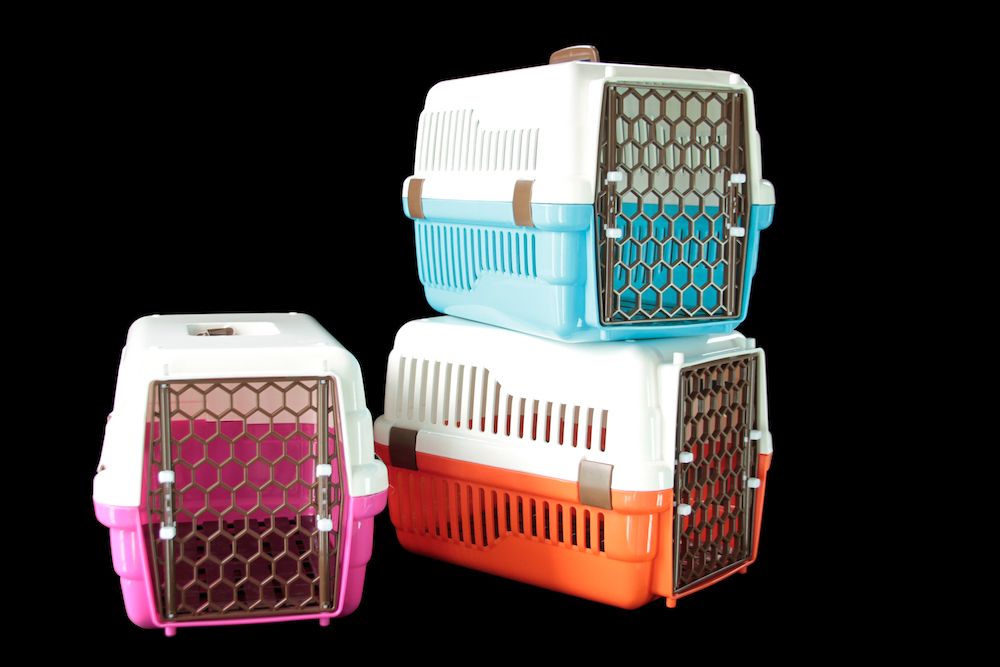 Editorial: February 16, 2024